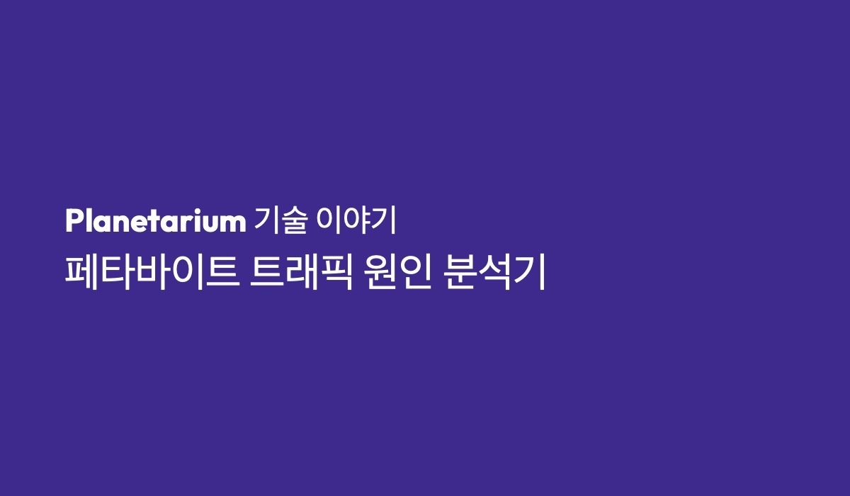 페타바이트 트래픽 원인 분석기